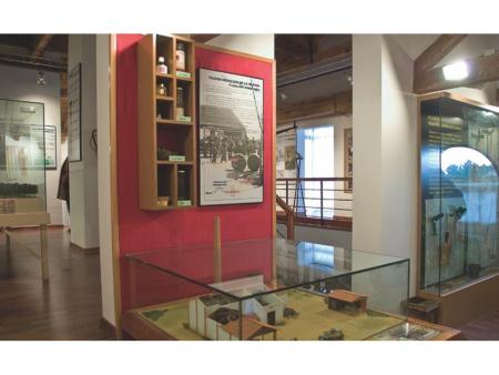 web_foto museo forestal2